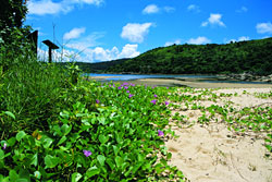 海下灣海岸公園